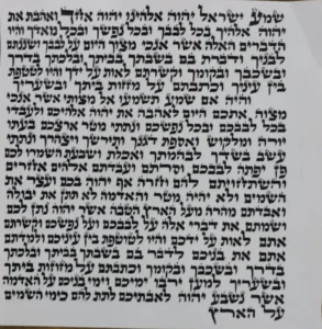 קלף מזוזה 25ס"מ - ענק