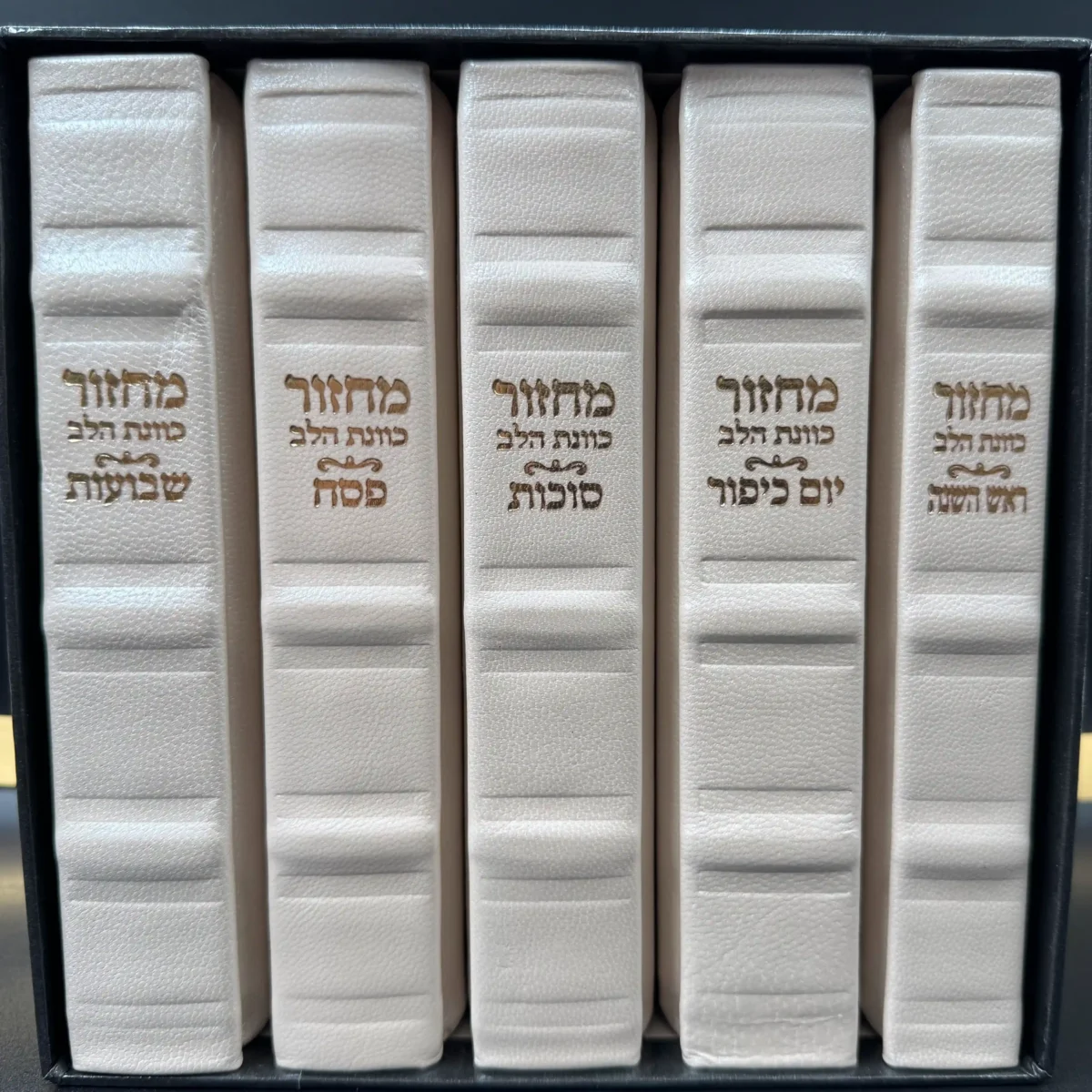 סט מחזורים מפואר מעור בצבע קרם