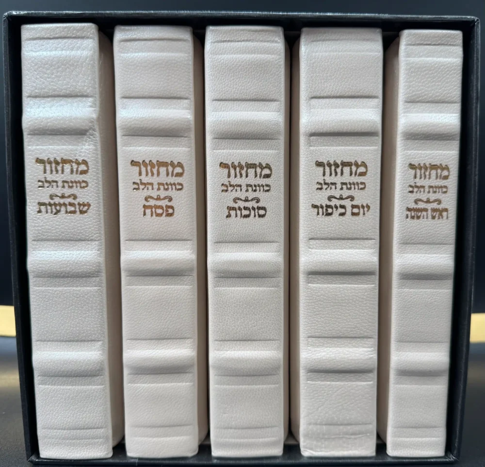 סט מחזורים מפואר מעור בצבע קרם